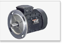 Havells Electrical Motor